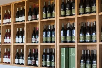 VISITING KISHOR WINERY IN THE UPPER GALILEE